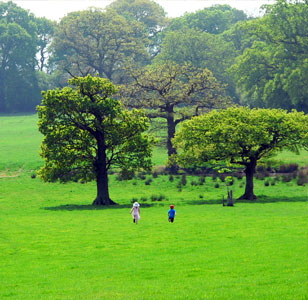 Shiplake Fields